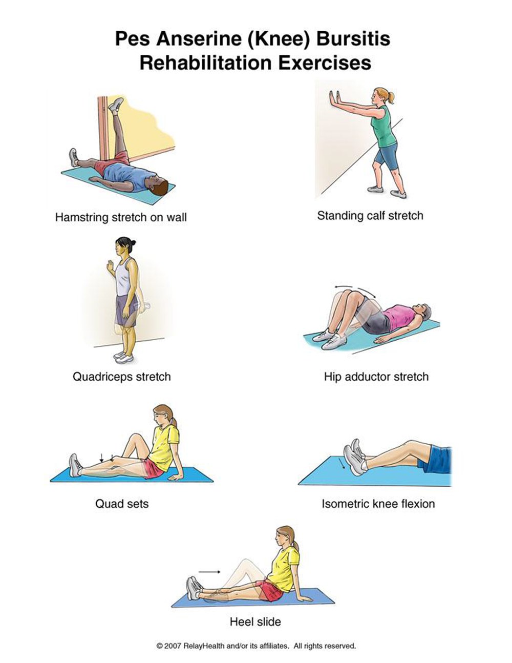 Pes Anserine Bursitis rehabilitation exercises illustration